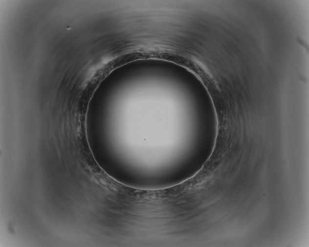 X0000097771016200803141740