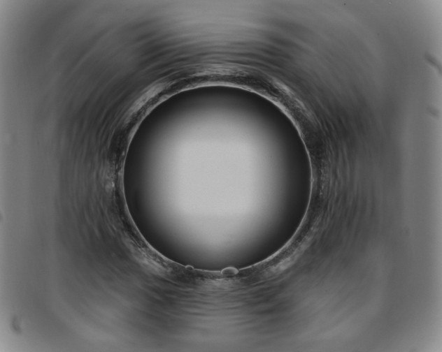 X0000097771017200803141740