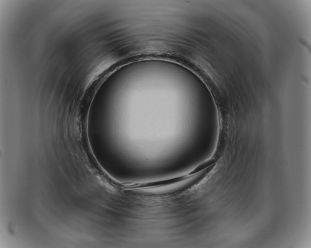 X0000097771018200803141740