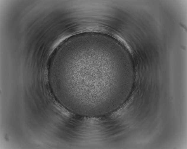 X0000097771019200803141740