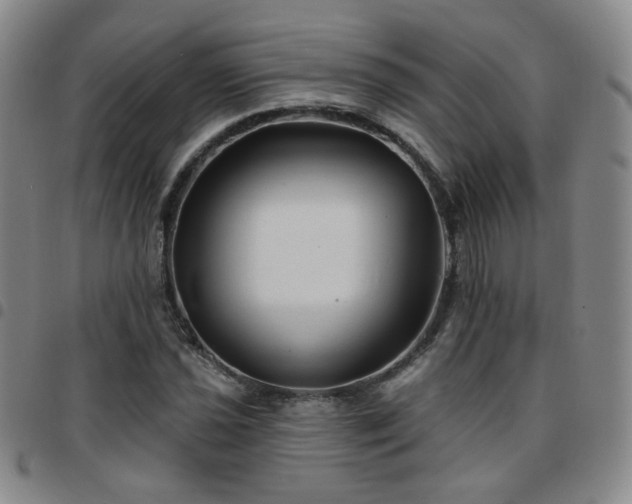 X0000097771021200803141740