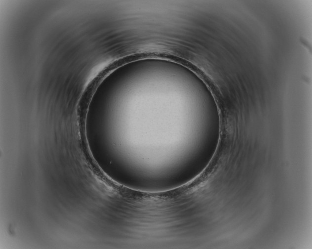 X0000097771022200803141740