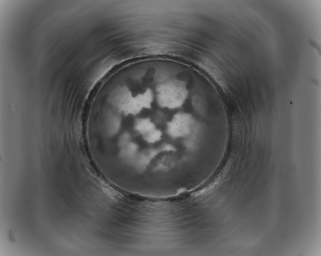 X0000097771023200803141740
