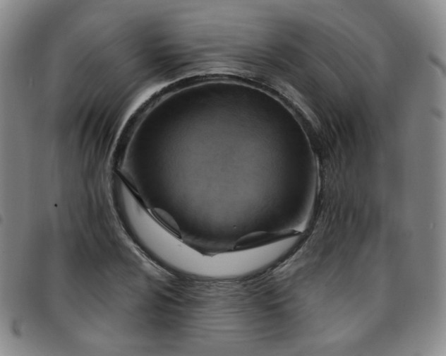 X0000097771024200803141740