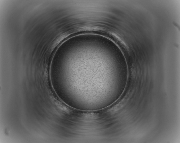 X0000097771025200803141740
