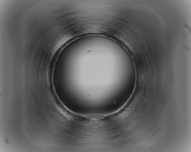 X0000097771026200803141740