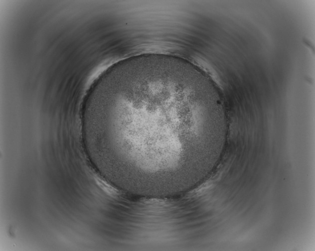 X0000097771027200803141740