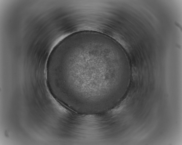 X0000097771028200803141740