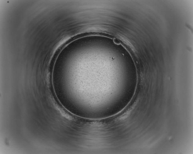 X0000097771029200803141740