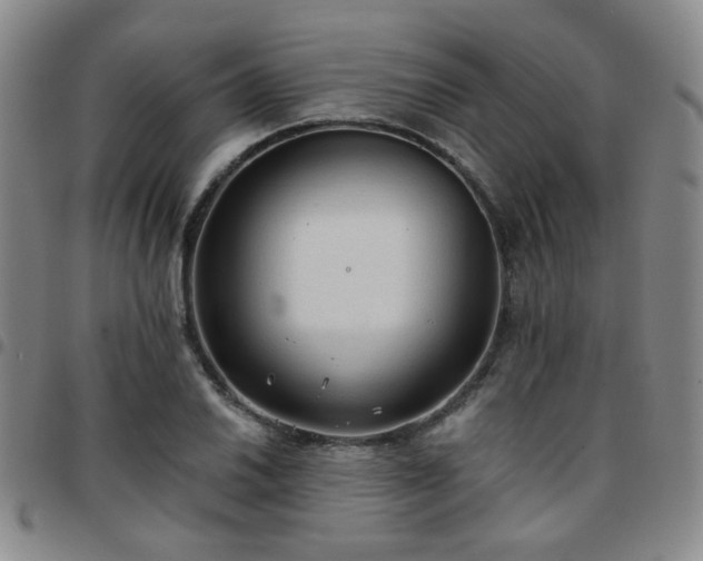 X0000097771030200803141740