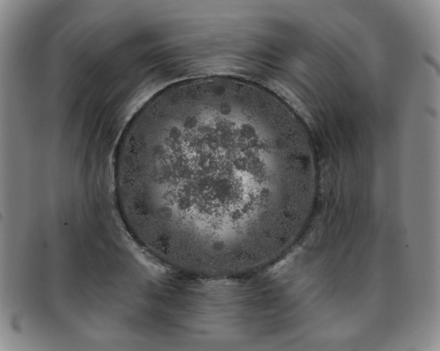 X0000097771031200803141740
