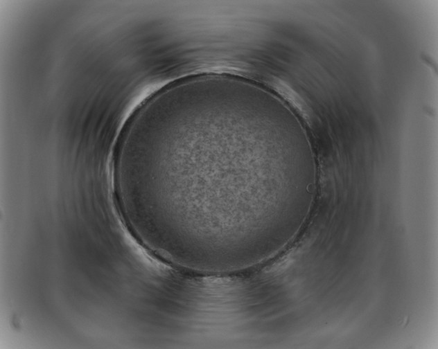 X0000097771032200803141740
