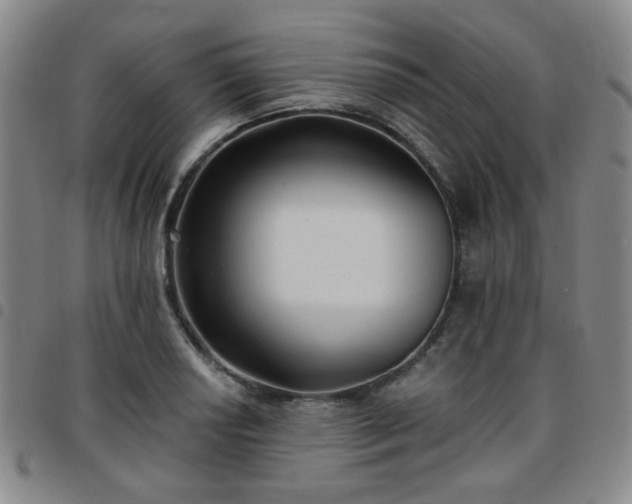 X0000097771034200803141741
