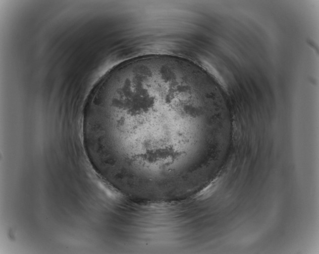 X0000097771035200803141741