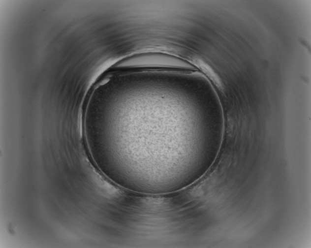 X0000097771036200803141741