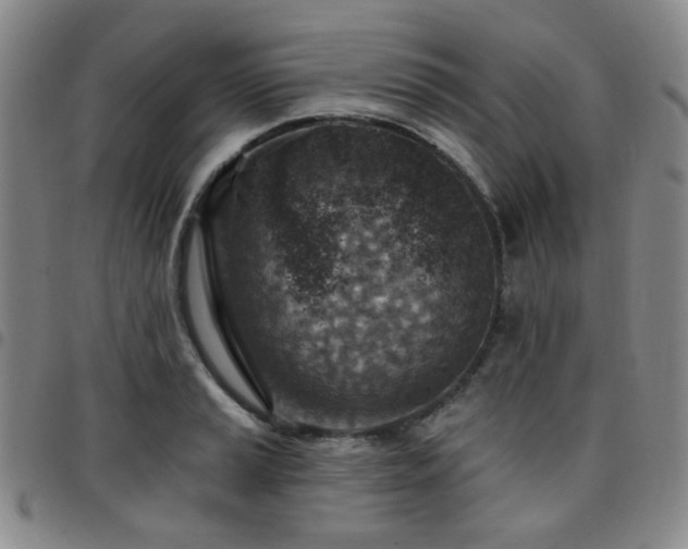 X0000097771037200803141741