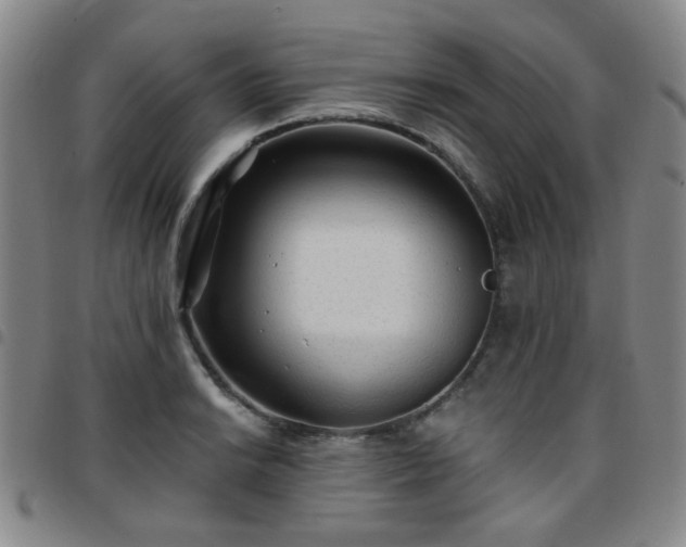 X0000097771038200803141741