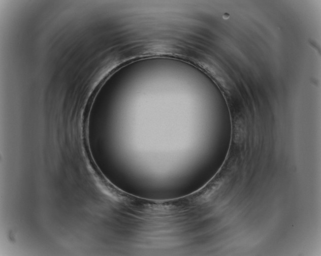 X0000097771039200803141741