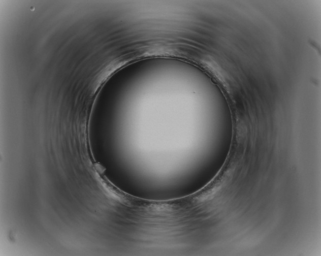 X0000097771041200803141741