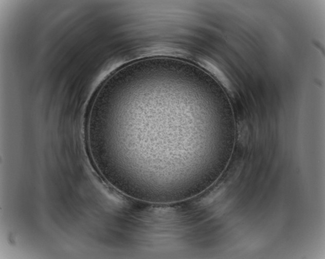 X0000097771043200803141741