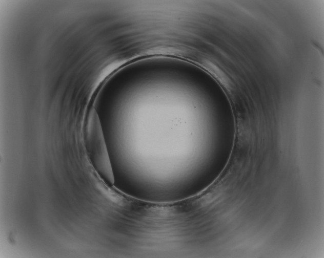 X0000097771044200803141741