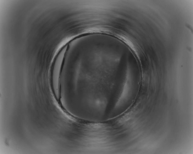 X0000097771045200803141741