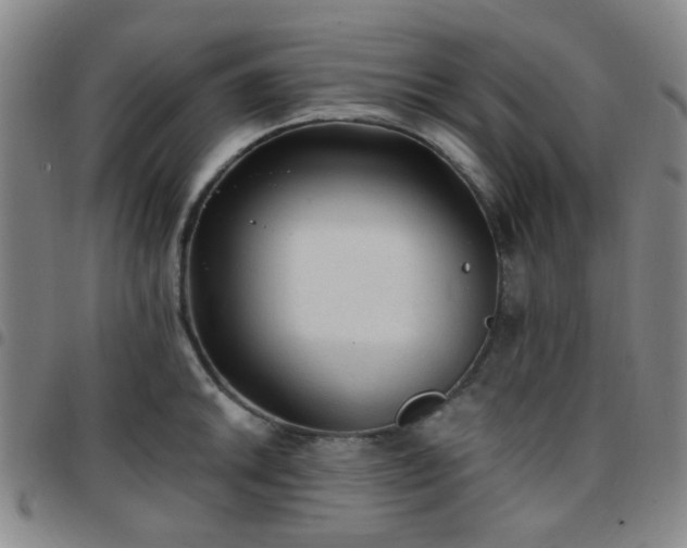 X0000097771046200803141741
