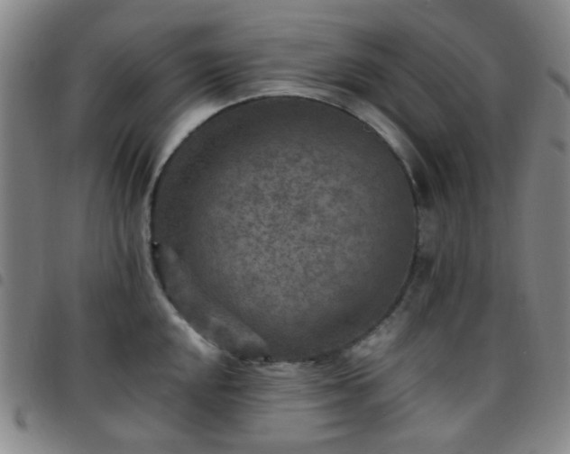 X0000097771048200803141741