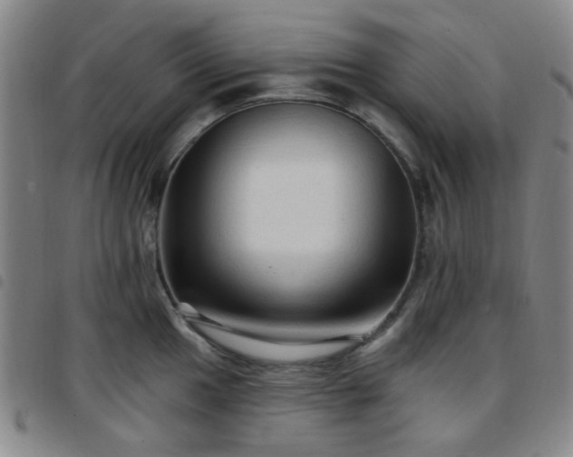 X0000097771049200803141741