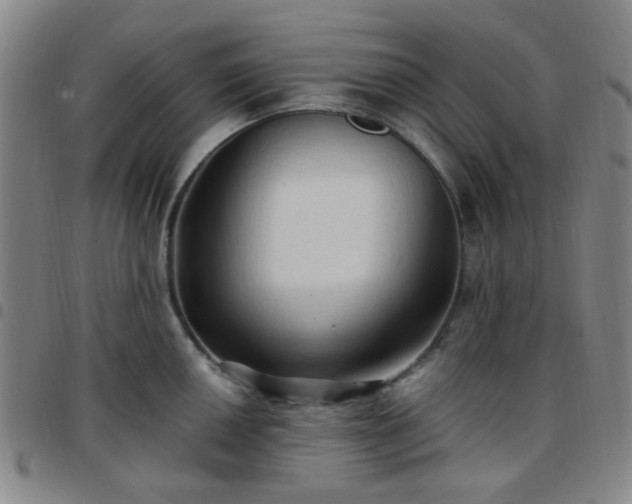 X0000097771050200803141741