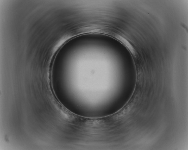 X0000097771051200803141741