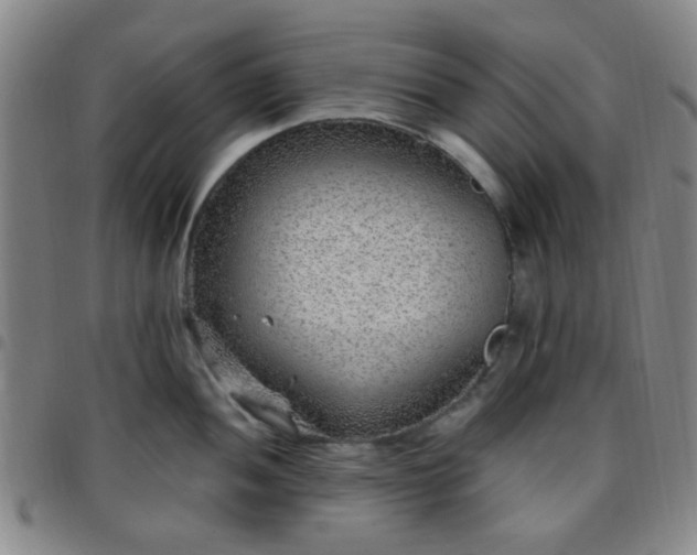 X0000097771052200803141741