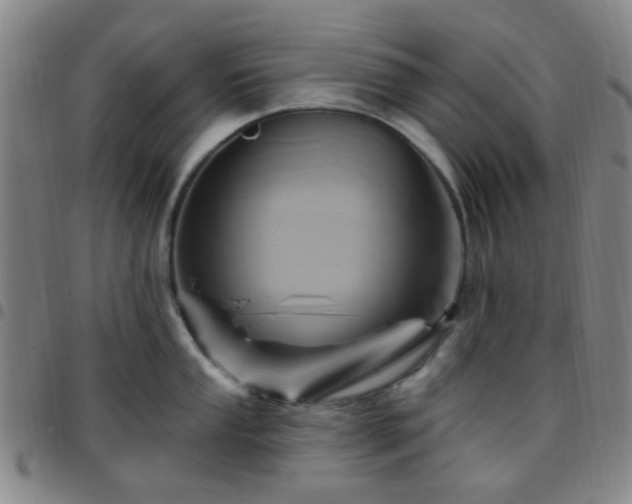 X0000097771053200803141741