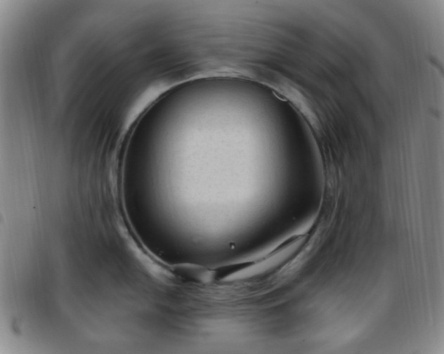 X0000097771054200803141741