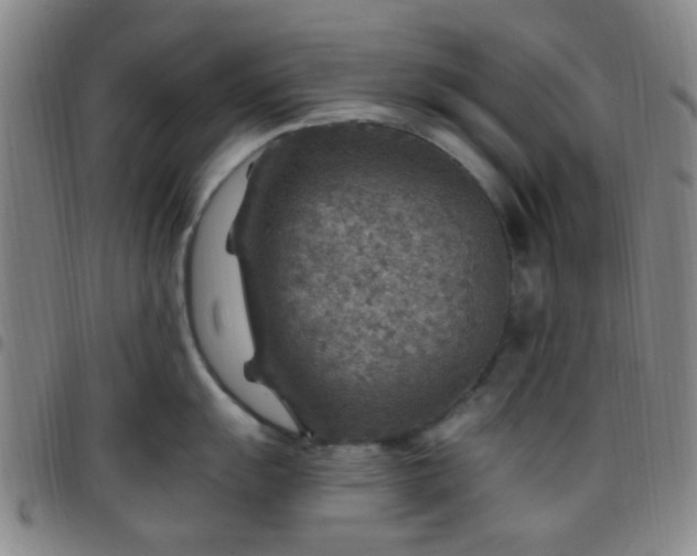 X0000097771055200803141741
