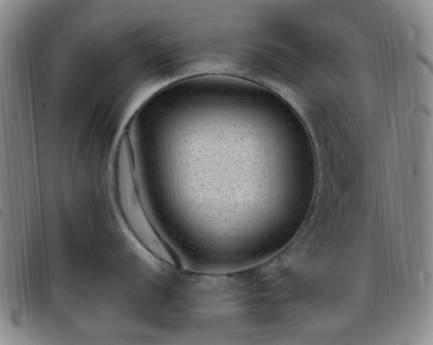 X0000097771056200803141741