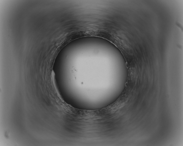 X0000097771057200803141740
