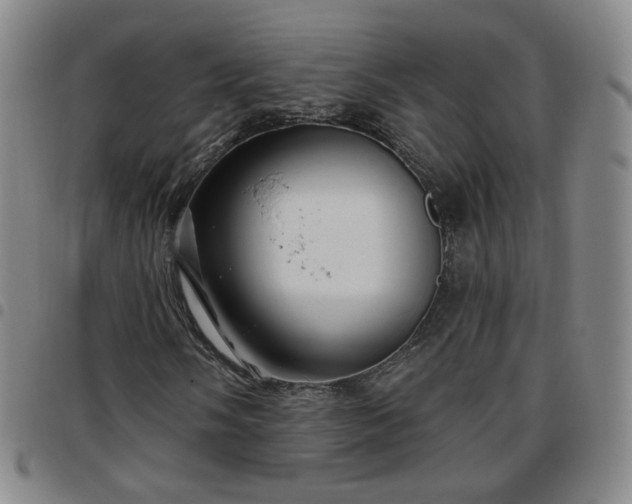 X0000097771058200803141740