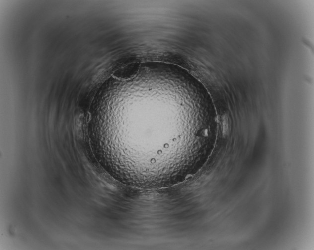 X0000097771059200803141740