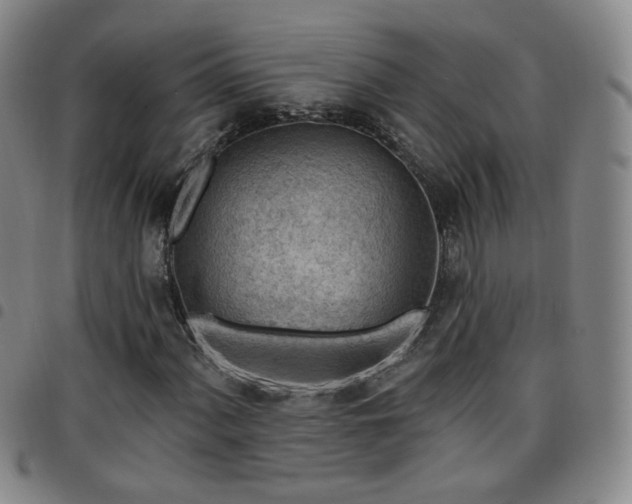 X0000097771060200803141740