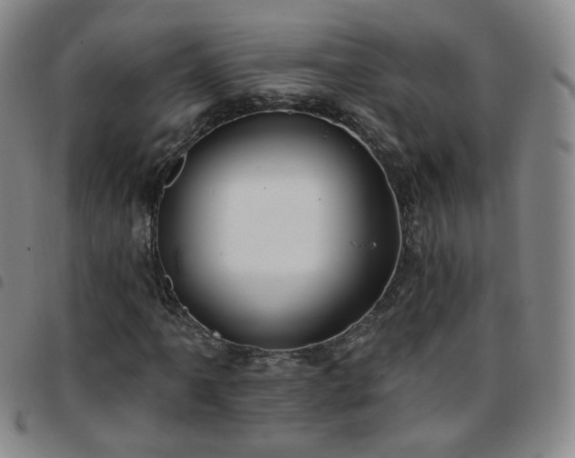 X0000097771061200803141740