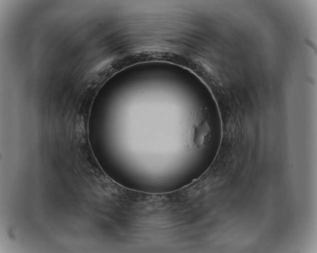 X0000097771062200803141740