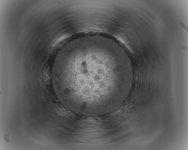 X0000097771063200803141740