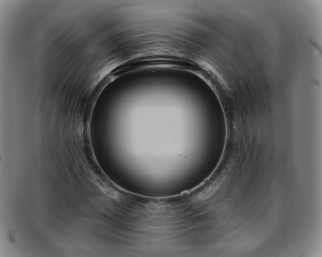 X0000097771065200803141740