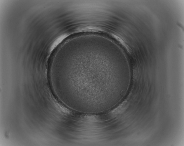 X0000097771066200803141740