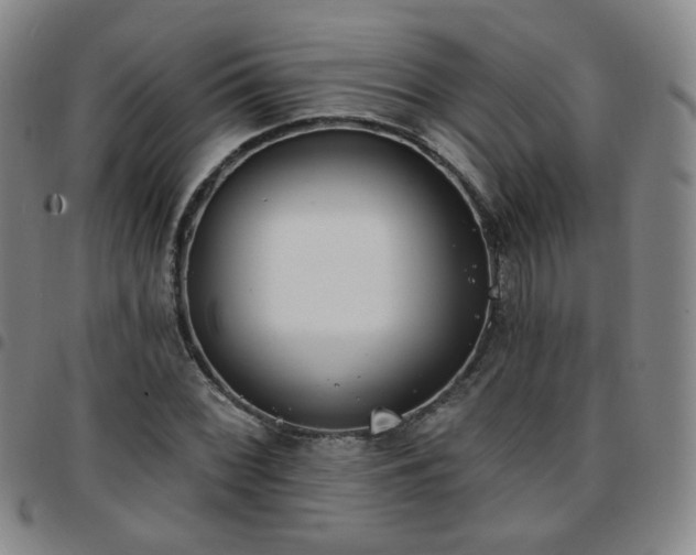 X0000097771068200803141740