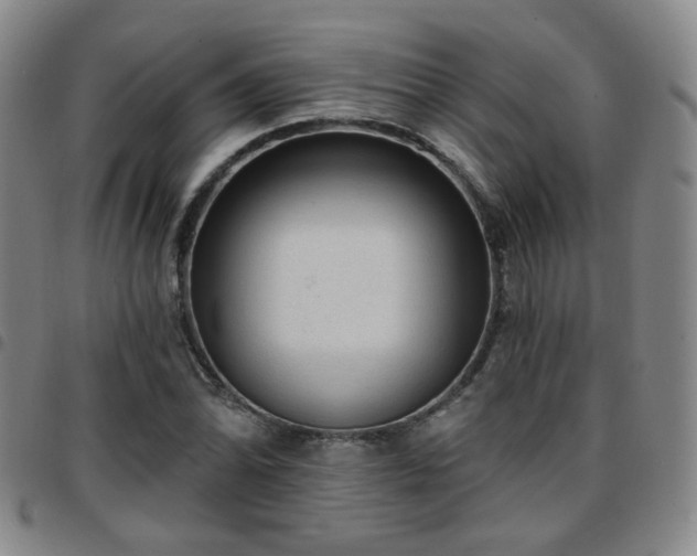 X0000097771070200803141740