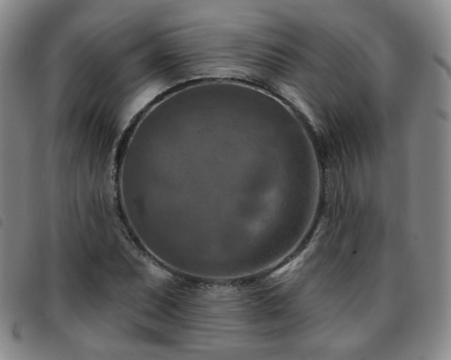 X0000097771071200803141740