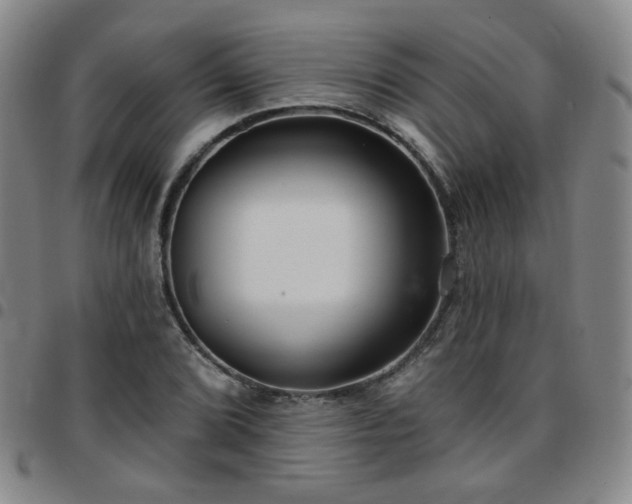 X0000097771072200803141740