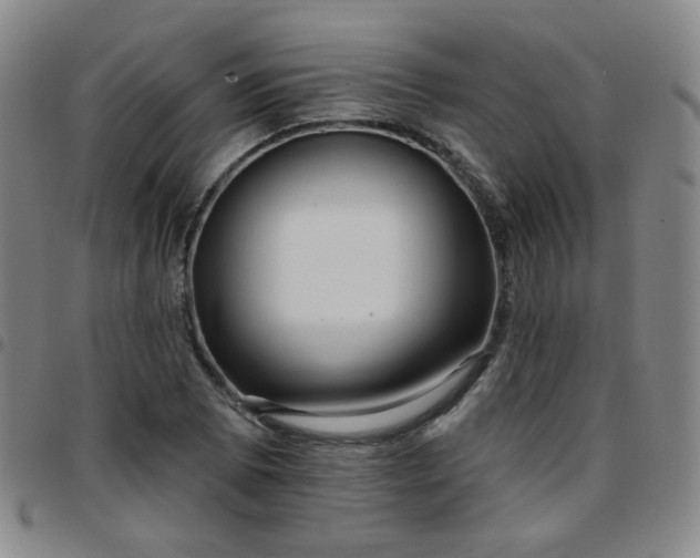 X0000097771073200803141740